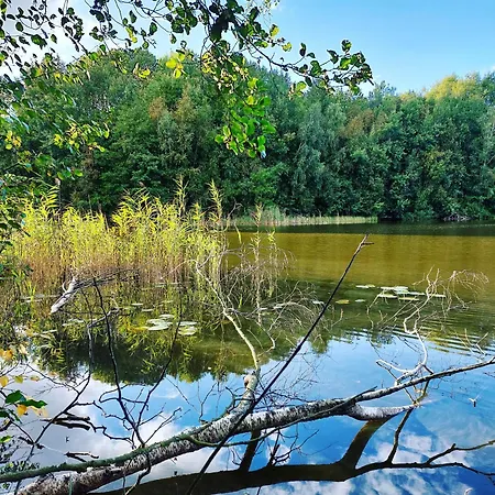 Borowy Wita Was Ferienhaus *