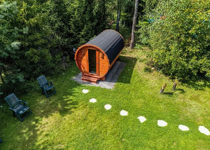 Borowy Wita Was Borowy Las