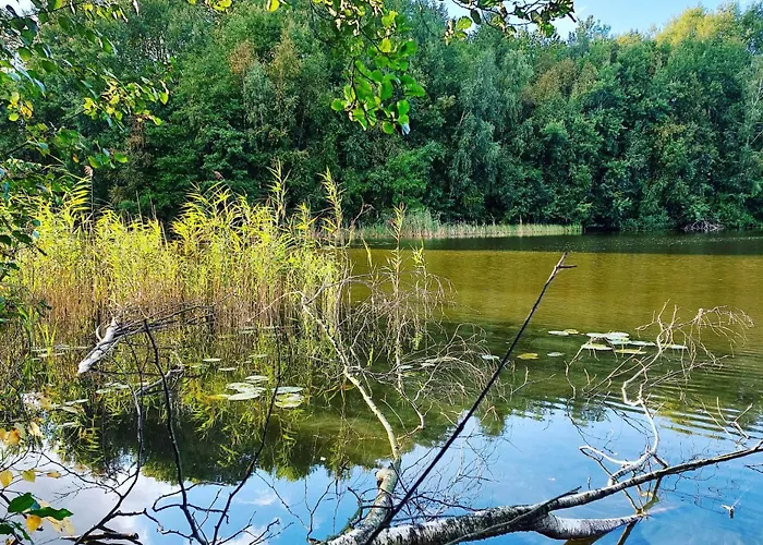 Borowy Wita Was Ferienhaus *